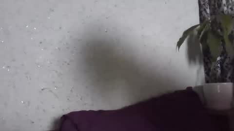 fox_red_lady7 online show from April 28, 12:42 pm