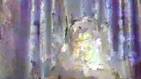 freaky brula online show from November 10, 8:31 am