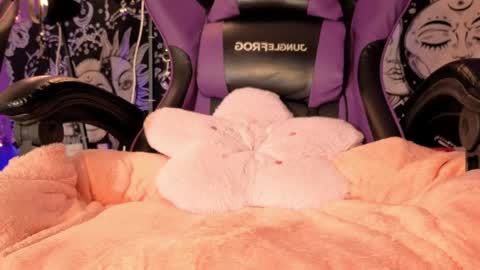 Gaia online show from April 24, 12:41 pm