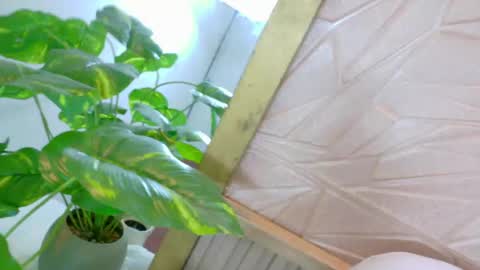 gaviluc_ online show from April 27, 12:57 pm