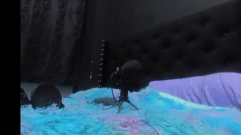 Miss online show from April 25, 12:46 am