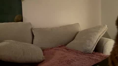 GoddessMayvn online show from February 7, 5:52 am