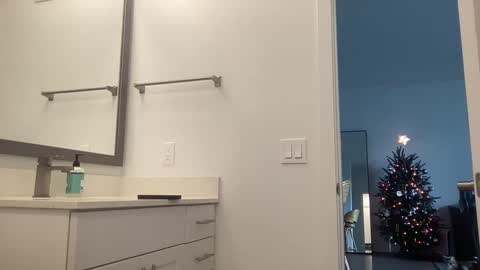 mila 3 online show from December 23, 7:30 pm