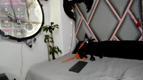 Snapshot of guadalupe_cors chatting on October 28, 8:57 pm guadalupe_cors online show from October 28, 8:57 pm