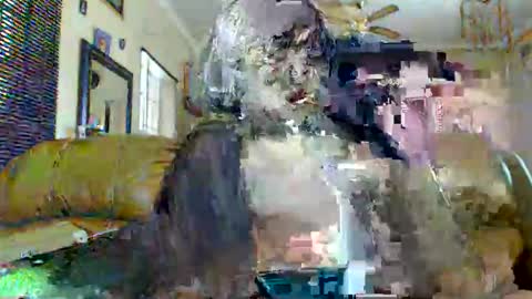 gucci-bx online show from March 13, 1:34 pm