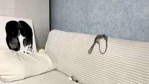 Alice online show from February 8, 3:27 pm