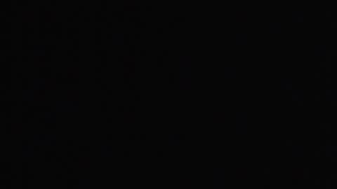 Kendal online show from April 23, 8:11 am