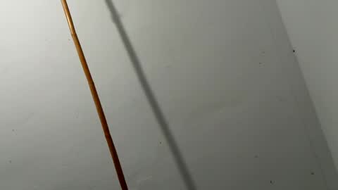 hairypussyxl online show from February 16, 8:11 pm