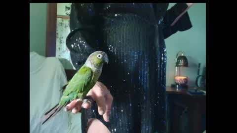 hidden_gold_milf online show from April 27, 5:10 pm