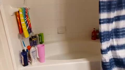 hippydippychick online show from November 13, 7:18 am