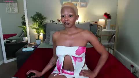 Hot Stella online show from June 22, 6:16 pm
