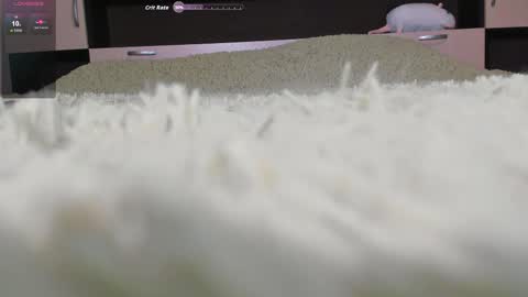 camilla 3 online show from January 11, 2:33 pm