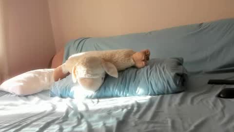 Issabelle online show from April 27, 5:48 am