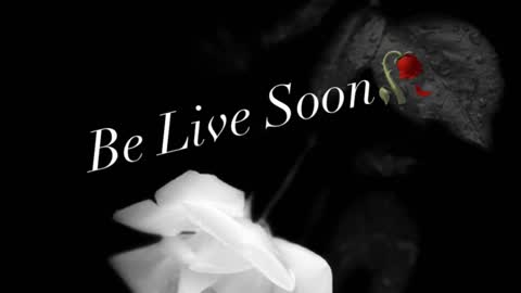 Ivy Rosie online show from November 25, 3:25 pm