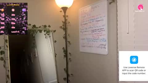 JoJo 3   online show from February 16, 5:15 am