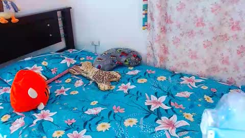 julieta art1 online show from January 19, 8:30 pm