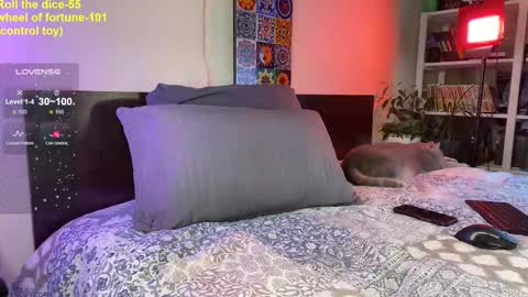 Jessica  I will be here on Tuesday November 26th online show from September 18, 11:20 am