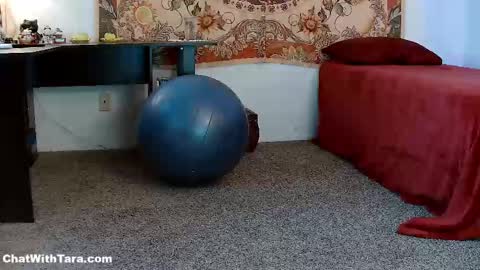 Tara Smith online show from September 15, 2:14 pm