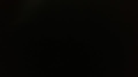 Kamelia  6 am-10 am  4 pm-6 pm online show from March 3, 11:25 am