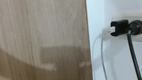 Kamelia  6 am-10 am  4 pm-6 pm online show from February 26, 11:21 am