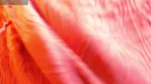 Snapshot of karlafreakk11 chatting on January 20, 1:11 pm DAHIANA online show from January 20, 1:11 pm