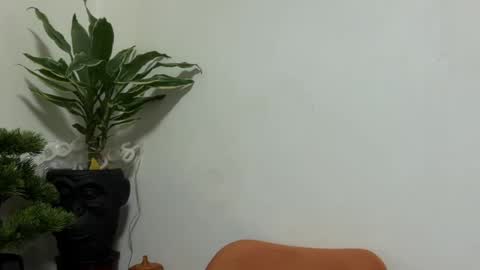 karoline121 online show from April 21, 2:51 am