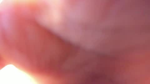 Karol online show from April 17, 11:34 am