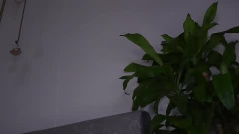 Katie online show from February 11, 11:12 am