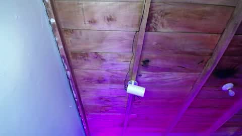 Kimura online show from March 11, 3:00 am