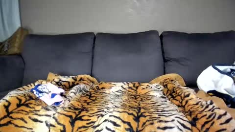 Snapshot of kinkykortney chatting on February 11, 12:15 pm Kinky online show from February 11, 12:15 pm