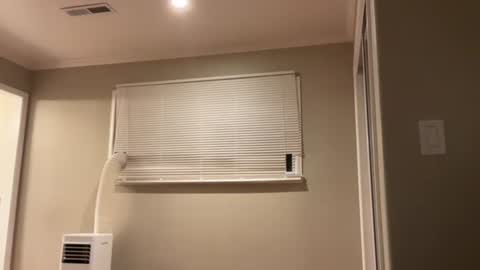 kittypurr79 online show from January 11, 5:20 am