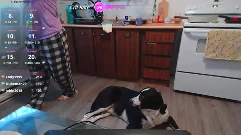 Kittyymaze online show from February 27, 2:21 pm