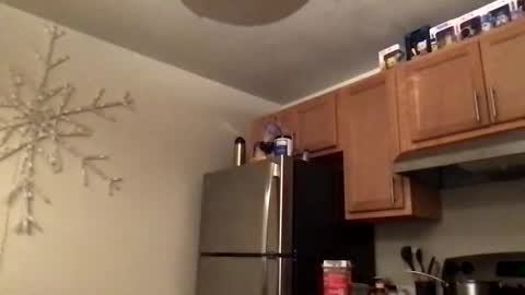 Konnie online show from March 8, 3:10 am