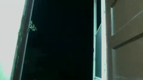 lacybell online show from July 6, 7:24 am