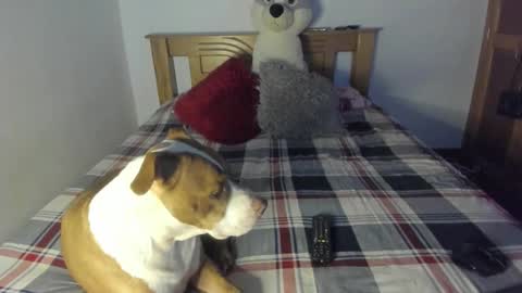 Akyra  online show from October 25, 1:08 pm