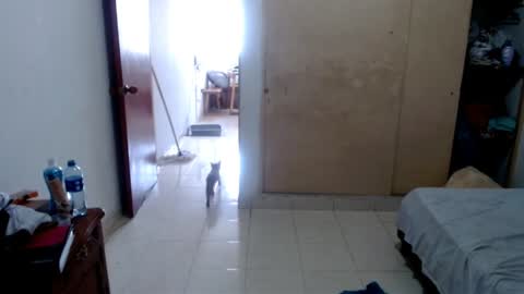 ladydeathz online show from January 16, 2:30 pm