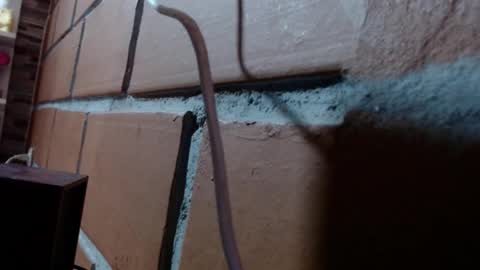 Lara            help me reach 100likes online show from December 5, 11:44 am