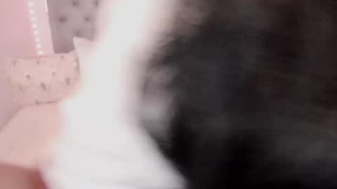 Laura online show from November 17, 7:20 am