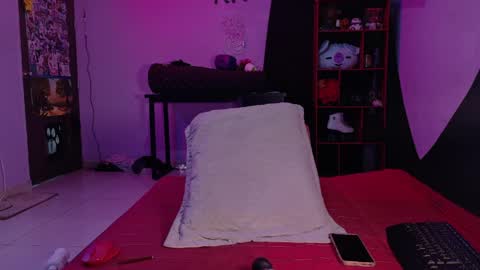 ANA LAURA online show from April 26, 8:17 pm