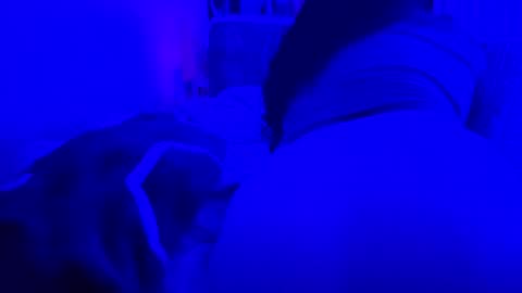 leothegirl88 online show from June 16, 11:55 am