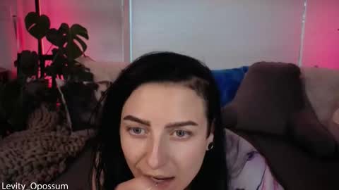 Levity online show from November 15, 12:11 am