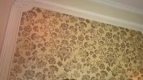 lillianderson -  Next stream start at 0700hs GTM-3 online show from April 23, 12:29 pm