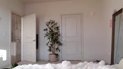 Lily Monroe online show from November 23, 9:38 pm