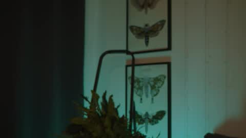 Anita B-day stream on 7TH DEC  online show from October 4, 8:13 pm