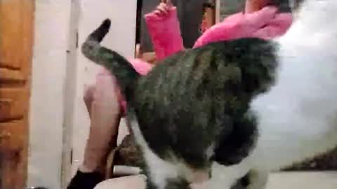 littleleo96 online show from February 15, 7:33 am