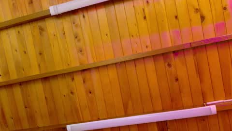  LIZBETH ROSS  online show from January 12, 10:20 am