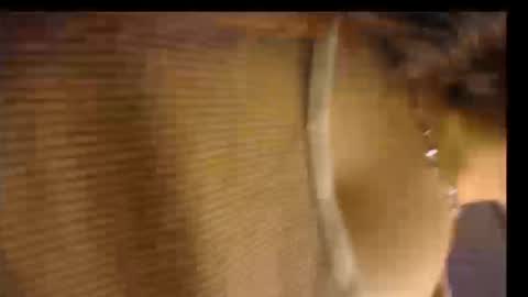 Lizzie online show from September 29, 2:11 pm