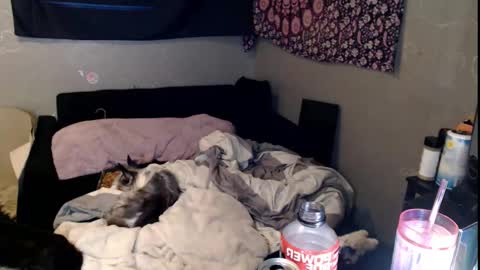 londonray online show from November 15, 11:44 am