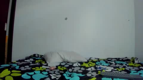 lotto_bloom online show from November 14, 9:04 pm