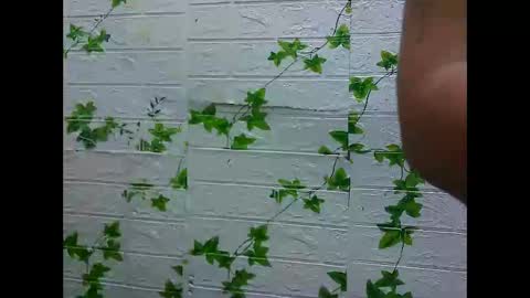 Snapshot of lovely_lady79 chatting on September 18, 12:53 am lovely_lady79 online show from September 18, 12:53 am
